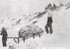 Bill Balfrey's MULES ON SNOWSHOES