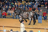 The Grand Tradition  of the  WAVERLY MIDWEST HORSE SALE