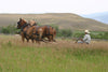 Horse-Drawn Loose Haying at Grant-Kohrs Ranch National Historic Site in Deer Lodge, Montana